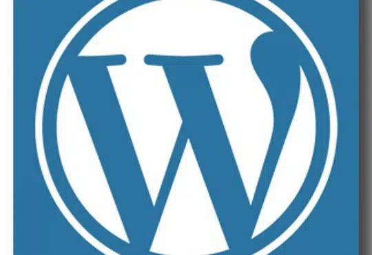 Quels sont les métiers du web qui ont la cote auprès des freelances WordPress ?